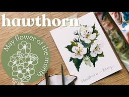 Watercolor Hawthorn - May birth month flower