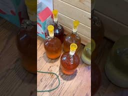 Behind the Scenes: Bottling Day