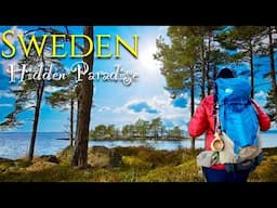 Solo hiking across Sweden || Silent Solo Hiking