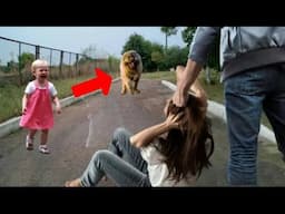 This Bad Guy Attacked The Woman, But He Didn't Know She Was Not Alone Here...