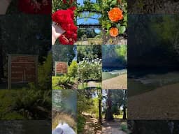 Avery Park is less than 20 minutes off of campus. It’s a great place to recharge with some nature.