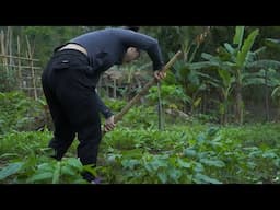 2 months of community tourism farm model and market trip