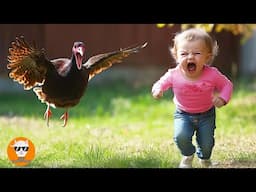 CUTEST Babies Crying With Animals for the First Time - Funny Baby Videos | Just Funniest