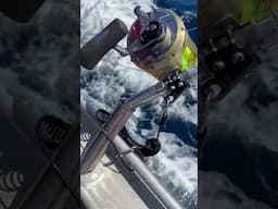 Shimano Recoil Rod Leash 🔒