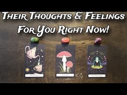 💞🌟 Their Thoughts & Feelings For You Right Now! 💕🌸💞 Pick A Card Love Reading