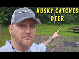 THIS CAUGHT ME BY SURPRISE |tiny house homesteading off-grid cabin build DIY HOW TO sawmill tractor
