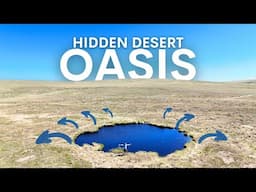 Britain's Hidden Desert Oasis That's Restoring Life