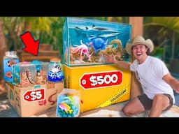 Buying $5 vs $500 Live Sea Creature Mystery Boxes