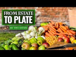 The Garden That Feeds Us – Body & Soul | My Tiny Estate