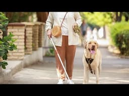 These smartglasses use AI to help blind people navigate without dogs or canes. This is how they work