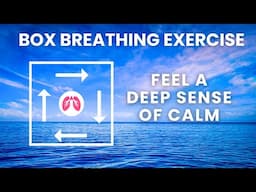 Stop Scrolling & Take 5 Minutes To Pause | Guided Breathwork