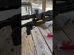 Ruger Precision Rimfire… just get it!