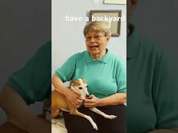 Joyce’s Amazon Store for Dog Lovers #puppy