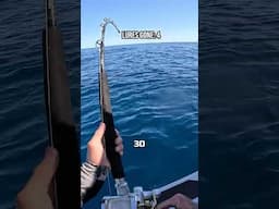 LURES GONE  #fishing #fish #crab #seafood #carpfishing #outdoors #automobile #boating
