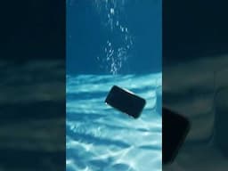 Drop your phone in the water? Here’s what to do 💦 #shorts #pool #problemsolved
