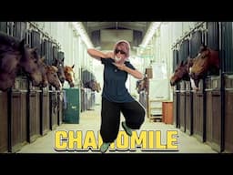 Chamomile - Gangnam Style Parody Song for us Older Ones!