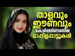 Nonstop Mappilapattu  Mappila Songs Hits Malayalam Mappila Song  Mappilappattukal
