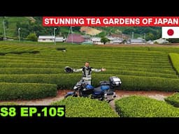 Stunning Tea Gardens of Kyoto Japan 🇯🇵 S8 EP 105 | Pakistan to Japan Motorcycle