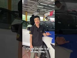 Lưu Ý Khi Dừng - Đỗ Xe Dưới Gốc Cây Để Tránh Mất Tiền Oan!