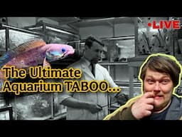 Updates and... What is The Ultimate Taboo in the fish hobby: Live  Q&A + Chat.