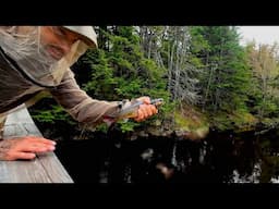 Catch and Cook Brook Trout In Thunderstorm - Overland Camper Truck On 4X4 trails