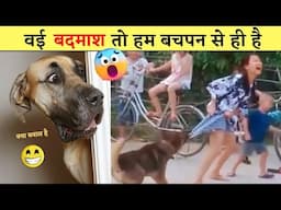 🤣😂इन जानवरों से पंगा ना बाबा ना | funny animals video 2023 part 2