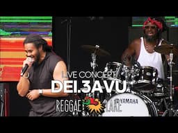 DEI.3AVU Live at Reggae Lake Festival Amsterdam 2024