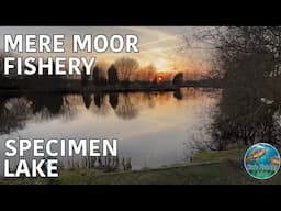 Mere Moor Fishery (Specimen Lake) - Carp Fishing