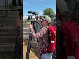 Tune into “Dogs with Jobs!” Our upcoming documentary about working dogs in Idaho. Available May 22!