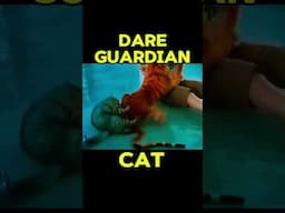 CAT THE BODY GUARD #cat #animallife #funny #catlovers