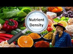 What is Nutrient Dense Food and Why is it Important for Your Health?