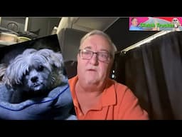 Life Without Rusty; Meeting a Subscriber; Searching for a new Dog!