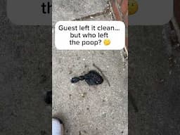 What my AirBnb guest left behind $523 stay