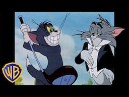 Os Melhores Momentos do Tom! 🐱 | Tom & Jerry em Português 🇧🇷 | Brasil | @WBKidsBrasil