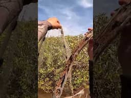 I NEED BAIT  #fishing #fish #crab #seafood #carpfishing #outdoors #automobile #boating #cooking