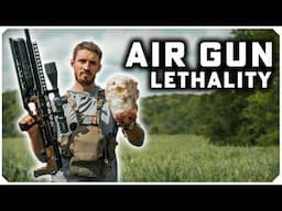 How Deadly are Air Gun Headshots? | Unregulated Silent Rifles Anyone Can Own