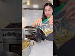 Second Attempt Making Dog Food | MyHealthyDish
