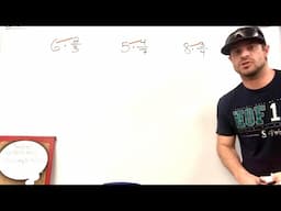 Multiplying Whole Numbers by Fractions