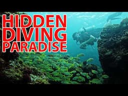 UNDERATED and AFFORDABLE Diving Dream Location You Should Visit Yourself