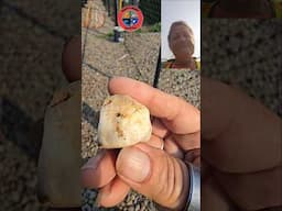 Join the Team - Be An Agate Rescuer! #shorts #agate #rockhounding