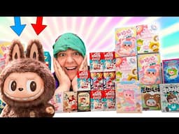 I Bought The CRAZY Internet Obsession LABUBU Mystery Boxes By Pop Mart