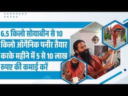 6.5 किलो सोयाबीन से 10 किलो ऑर्गेनिक पनीर तैयार करके महीने में 5 से 10 लाख रुपए की कमाई करें |
