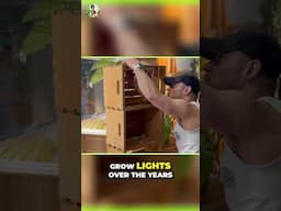Cheap Grow Lights: Level Up Your Plant Game Without Breaking the Bank!