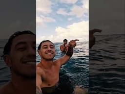 Scoring Pumping Teahupo’o with NO ONE OUT