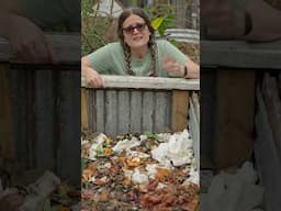 Free Plants in Compost #garden #citygardening #gardening #compost