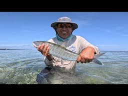Florida Keys Live Bait and Bonefish.