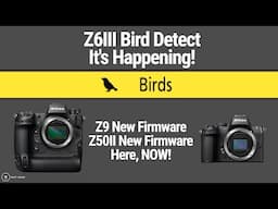 Z6III Bird Detect Coming! | New Z9 + Z50II Firmware | So When Z9II? | Viltrox 35mm f/1.2 |Matt Irwin