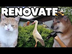 I'm Going to Renovate My House!