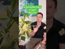 Watch this if you are struggling with watering Moss Poles :) full video 👆