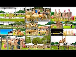 LIVE: U.S. Army Fitness CHAMPIONS Compete for Glory Today!